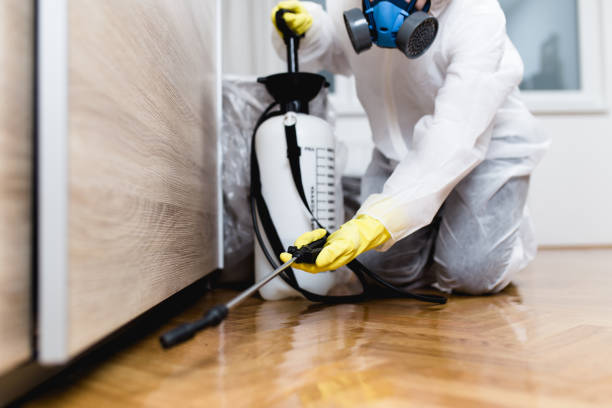 Reliable Philadelphia, PA Pest Control Solutions