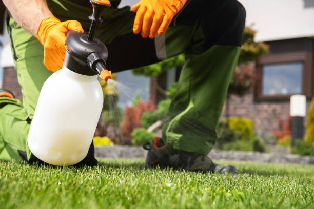 Pest Control for Restaurants in Philadelphia, PA