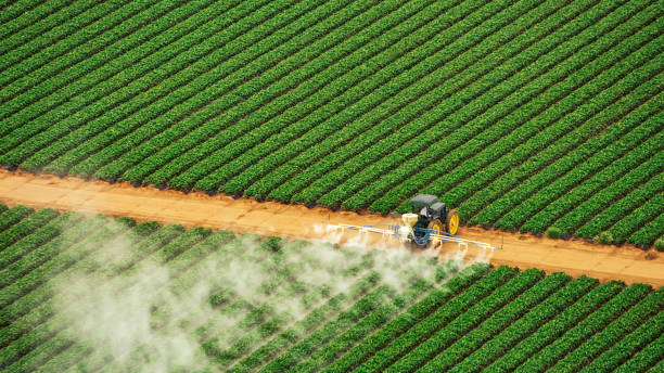 Best Mosquito Control Services  in Philadelphia, PA