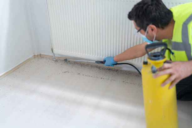 Best Cockroach Control Services  in Philadelphia, PA